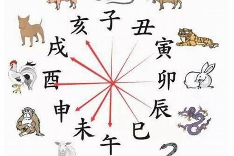 属鸡的和什么属相最配、相克？