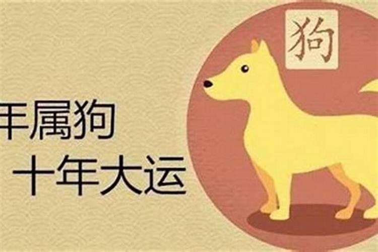 属狗今年的运程好