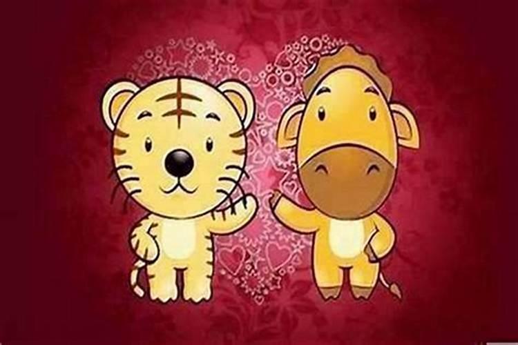 属虎于属虎合婚吗？