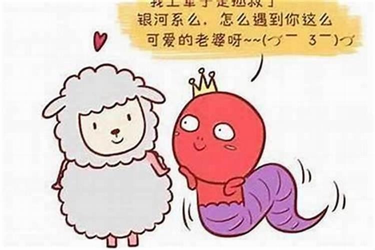 男属龙配女属蛇合婚吗？