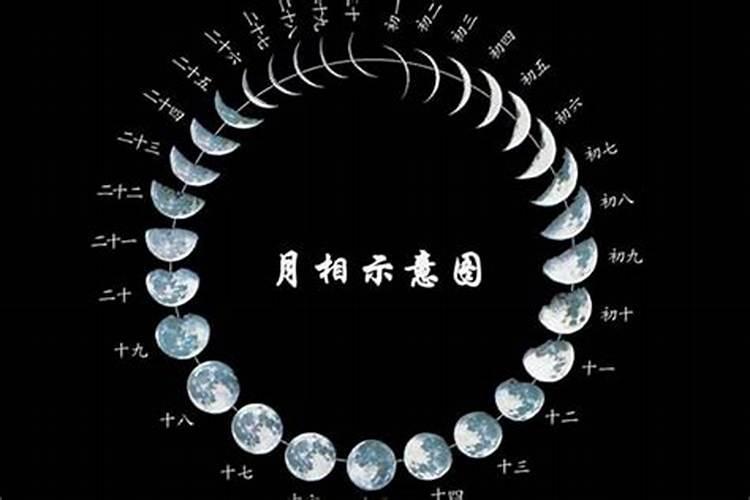 腊月和12月那个是阳历