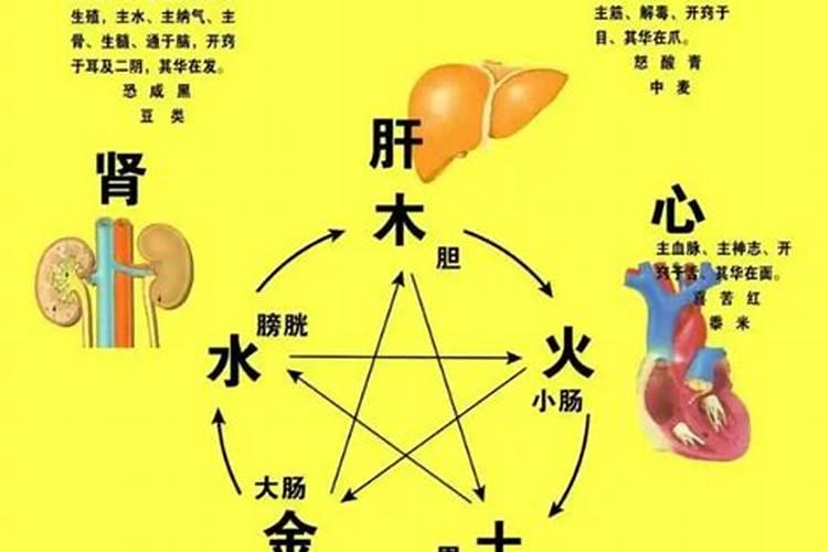 八字相穿对应疾病