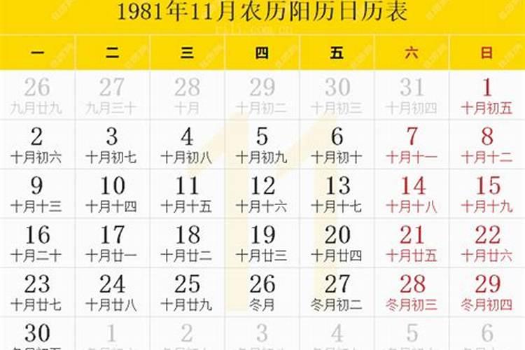 1981年农历六月初五出生运程