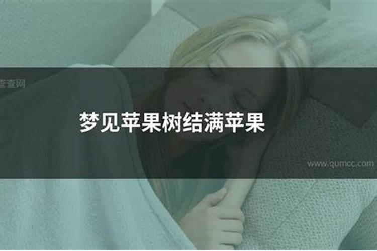 梦见吃苹果和满树苹果什么征兆？