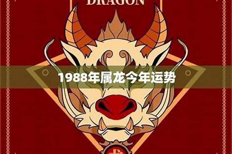 1988年属龙的今年感情运势