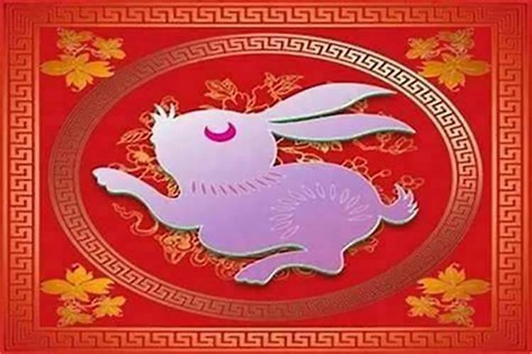 属兔的本命年要怎么办？
