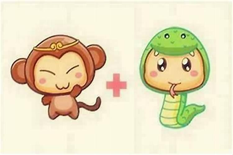 说蛇的和说猴的合婚吗？