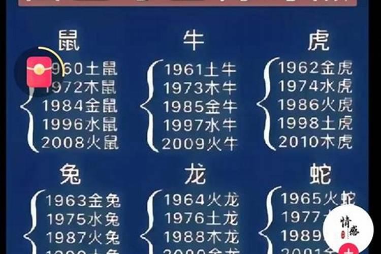 属狗和属狗八字合吗？
