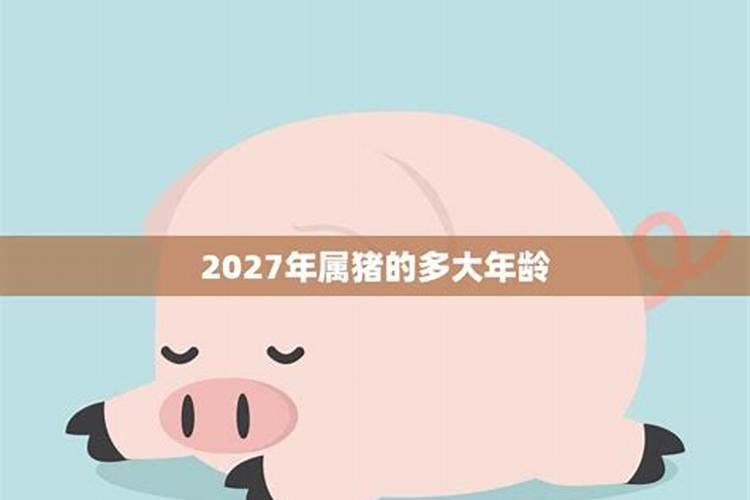 2027属犬的宝宝运势如何？