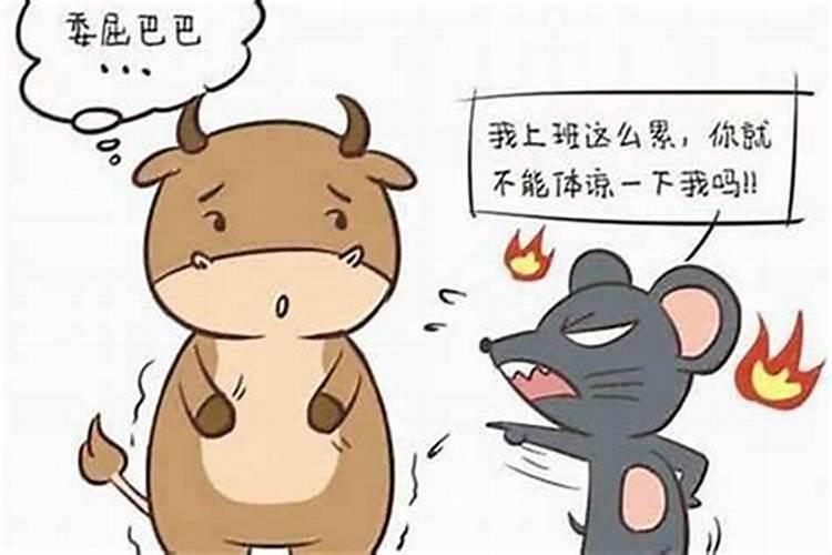 鼠牛属相婚配好吗？