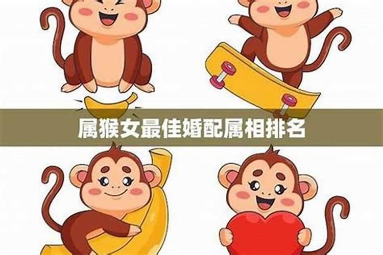 猴男能与什么属相婚配？