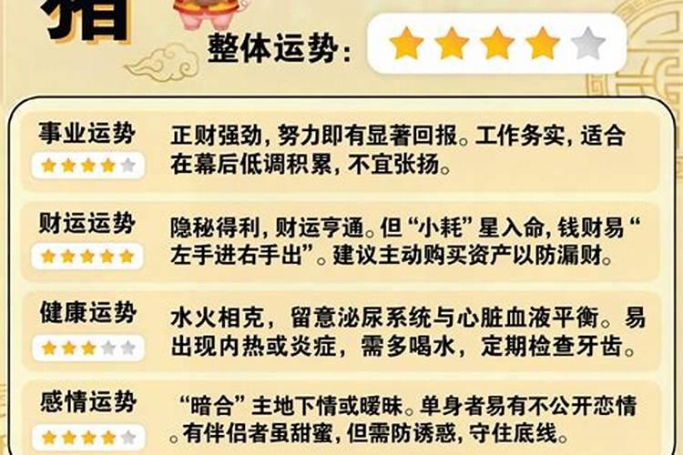 属猪人今年运势2027年运势