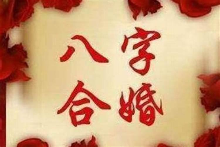 两个人八字不合在一起会怎么样呢？