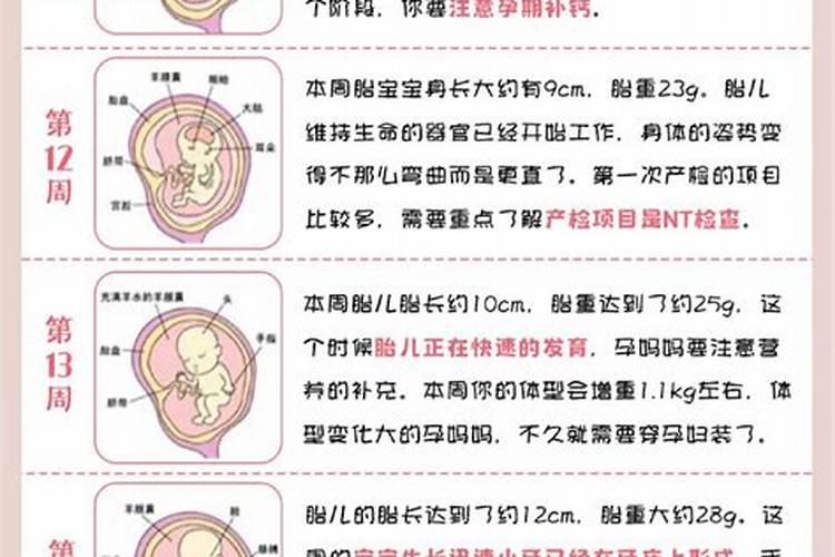 怀孕堕胎的最佳时间