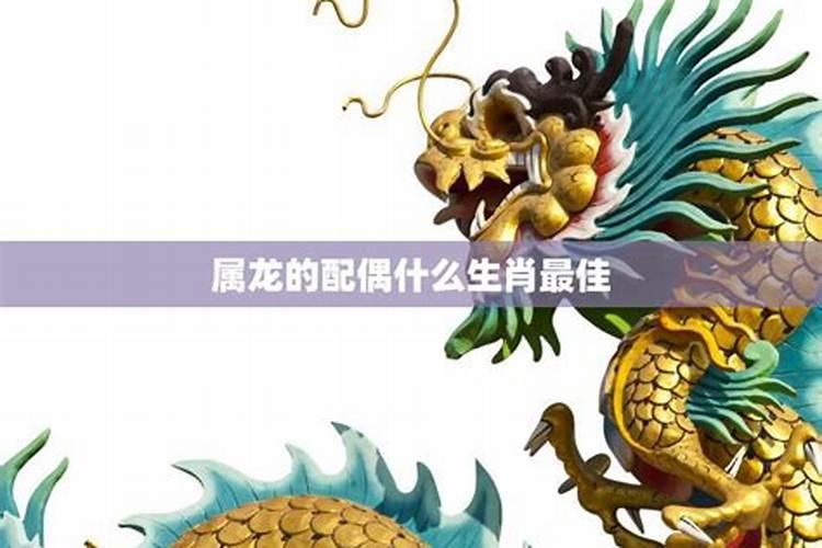 生肖属鸡和属龙的配偶运程如何？