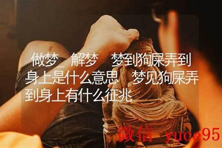 梦到拉屎弄到身上是什么意思？
