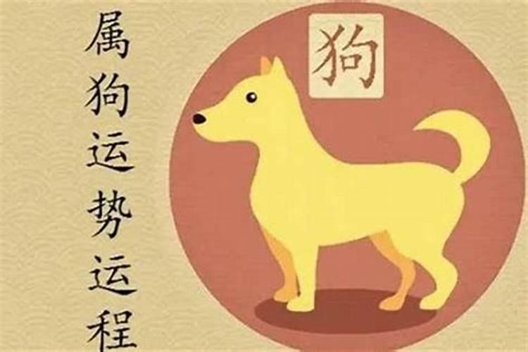 属猪的2027年运势怎么样狗？