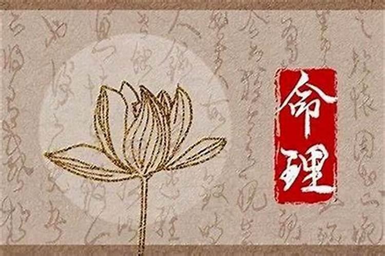 大运食神坐正官正财