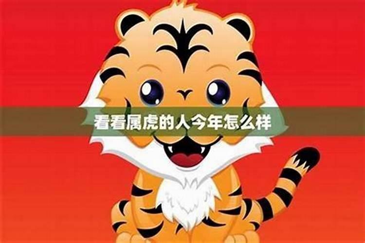 属虎12月女今年运势
