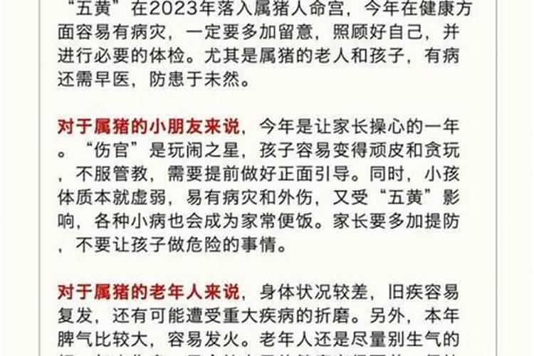猪年对于属鸡年的人运程好吗？