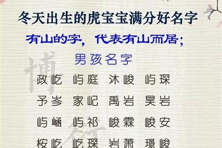 虎宝宝女冬至出生