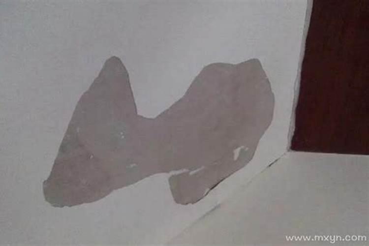 梦见梁上掉墙皮什么意思？