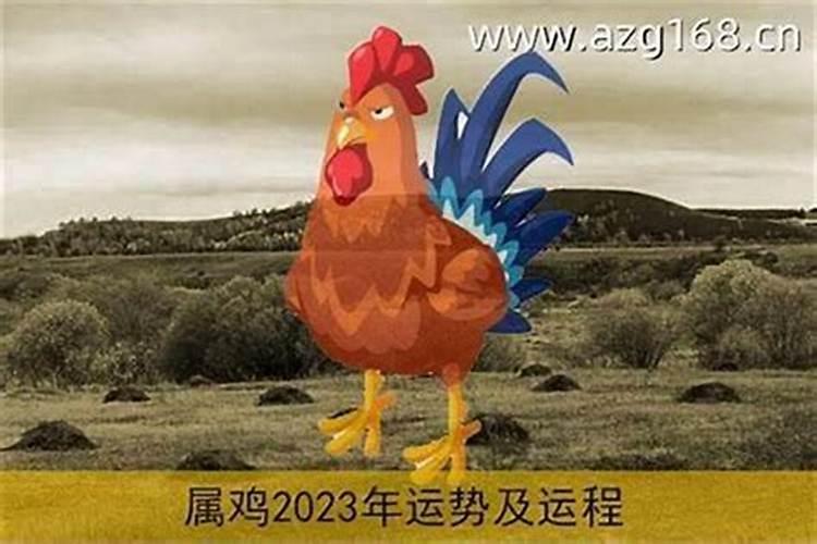 属鸡人12月运程如何？
