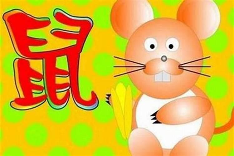立春过后出生属鼠还是牛命？