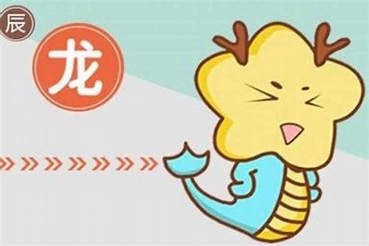 属狗与属龙八字合吗？