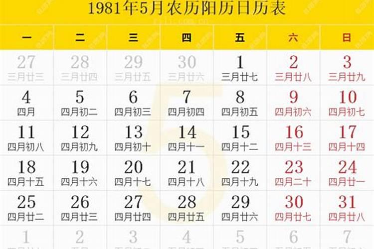 1981年农历5月出生的运程