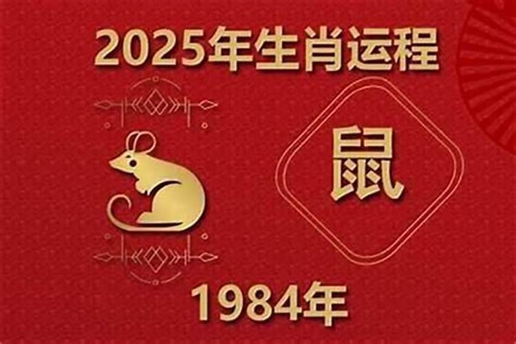 1984年鼠男2027年运程