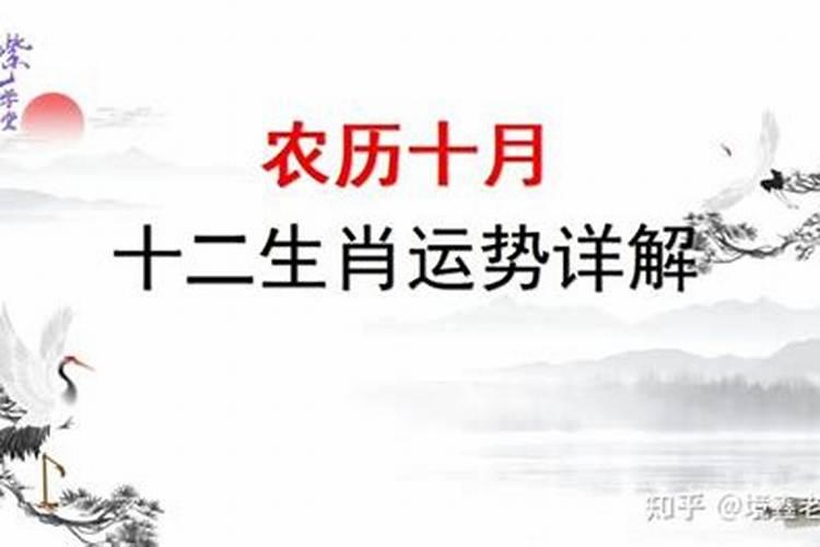 2027年农历4月十二生肖运势如何？