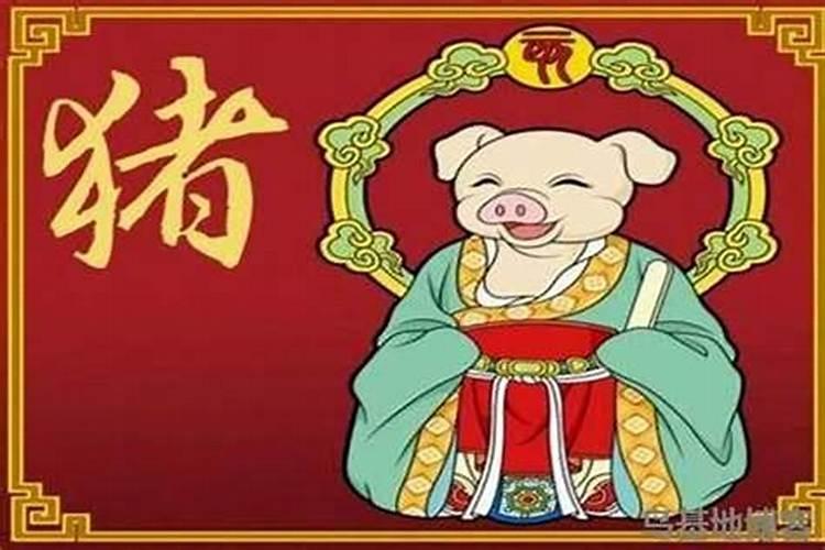 属猪的腊月出生好吗？