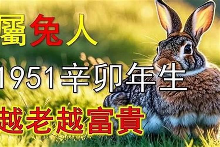 属兔1951年今年运势