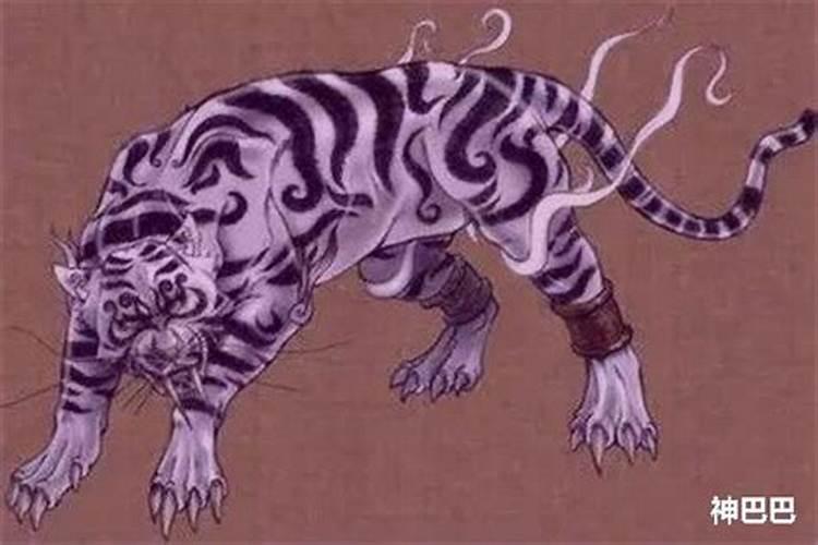梦到老虎咬人了预示着什么？