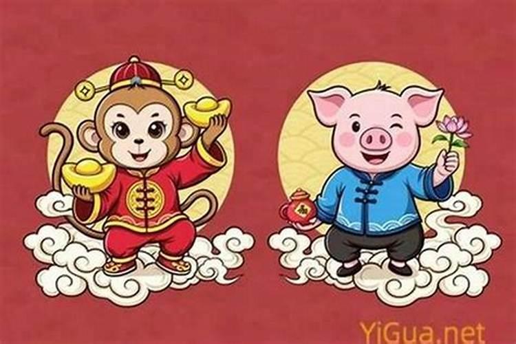 猪和猴的属相婚配吗？