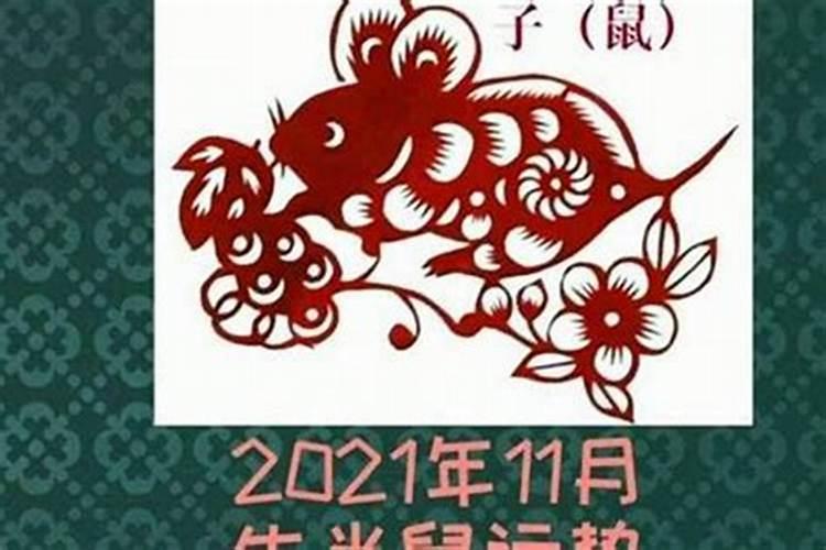 鼠人十月出生运势