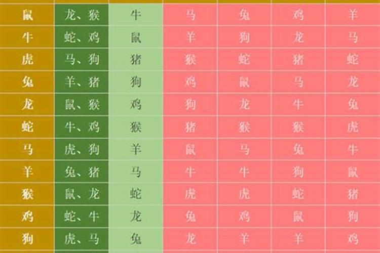 属蛇和什么属相八字比较合？