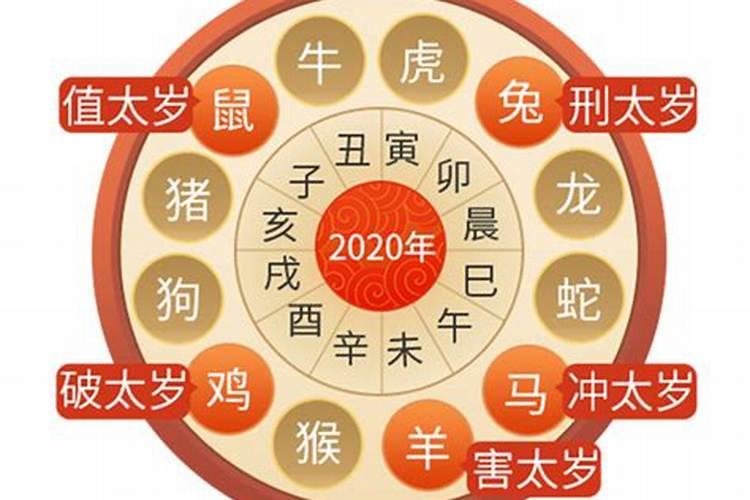 明年那几个生肖犯太岁？