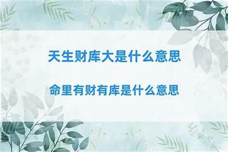 什么是天生财库大？