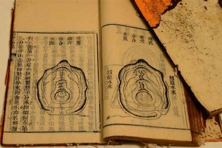 伤官是什么意思易经？