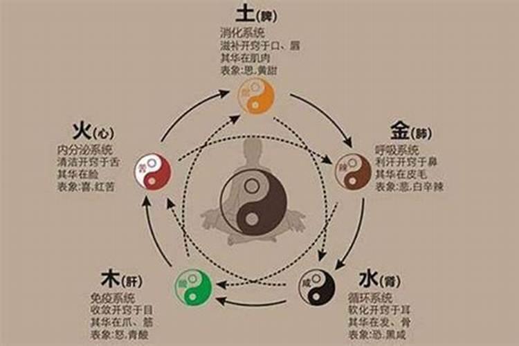 怎么测算八字的五行？