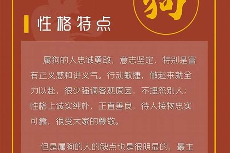 属狗婚配和什么属相不合适？