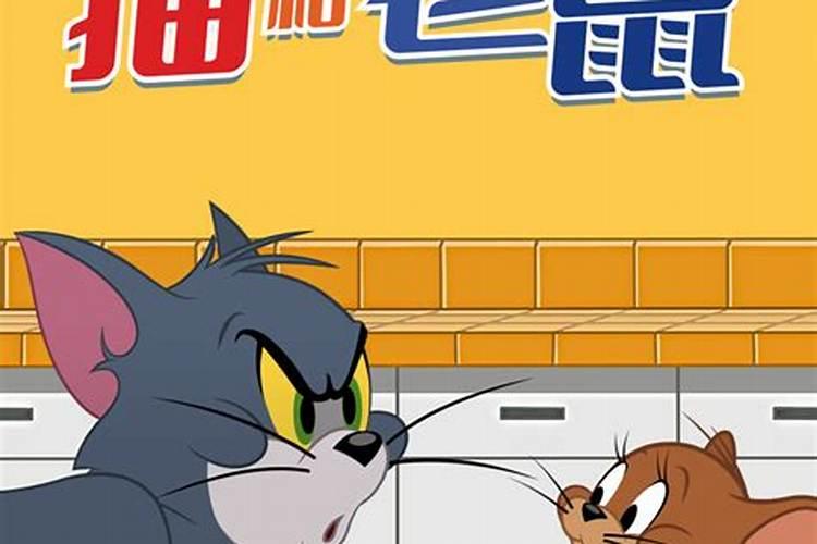 梦见老鼠和猫一起玩