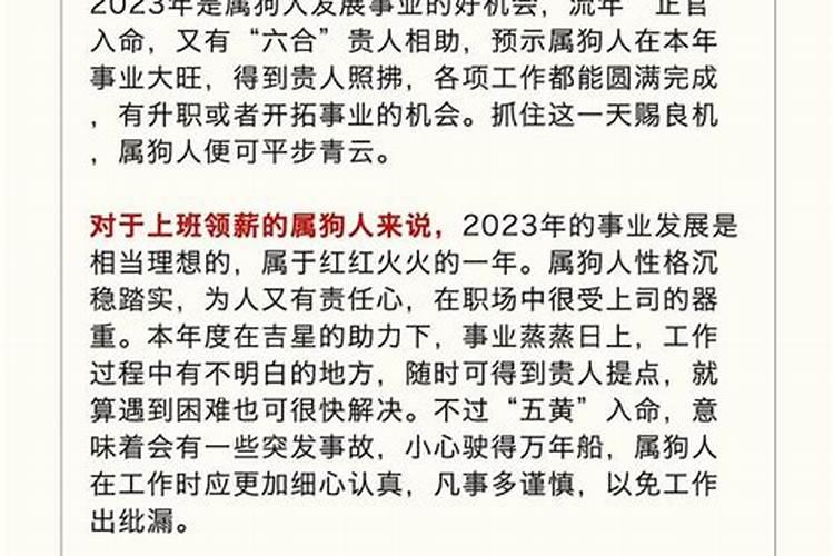 属狗10月出生运势运程