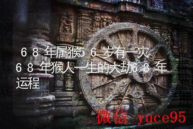 68年猴人一生运程