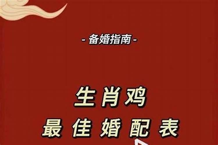 属鸡的男人婚姻不顺咋回事
