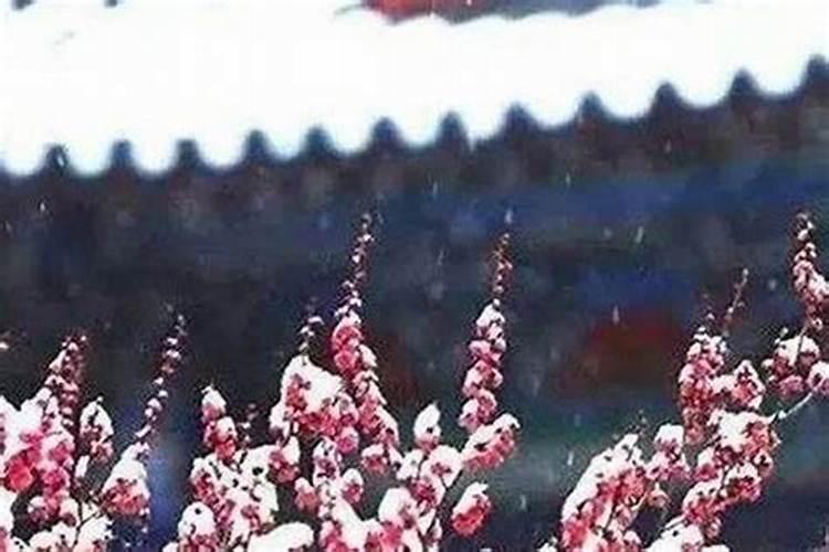 腊月29做什么生意好？