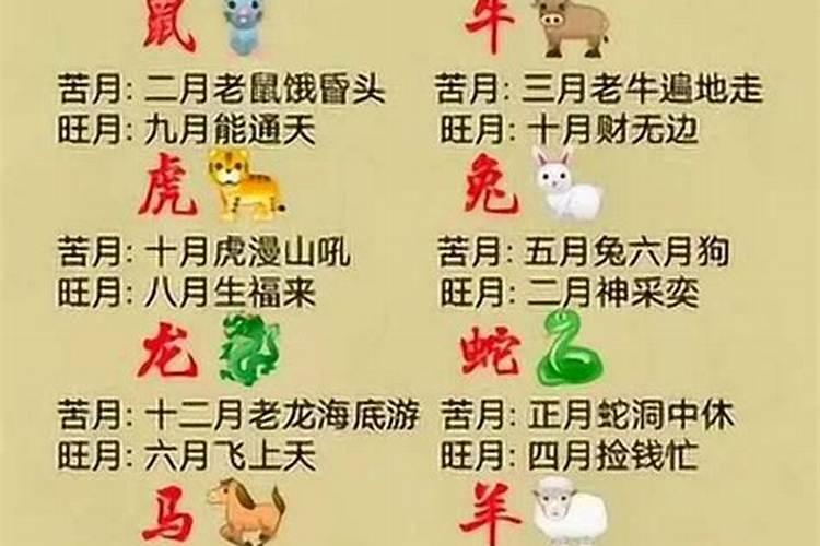 2027几月生宝宝犯太岁？
