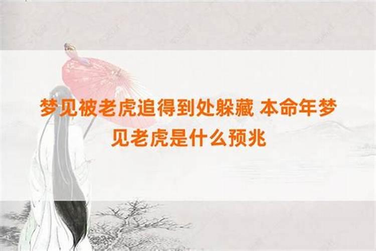 梦到被老虎追自己躲藏